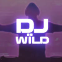 DJ Wild slot from ELK Studios