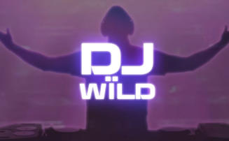 DJ Wild slot from ELK Studios